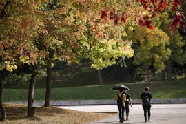 Nắng nóng tại Montreal, Quebec (Canada) ngày 5/10/2023. (Ảnh: AFP/TTXVN)