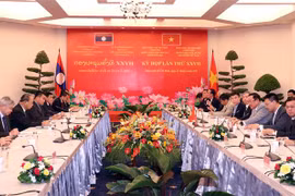 Quang cảnh kỳ họp. (Ảnh: Xuân Khu/TTXVN) 