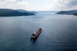 Tàu chở ngũ cốc di chuyển dọc Eo biển Bosphorus ngày 3/8/2022. (Ảnh: AFP/TTXVN)