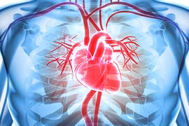 Ảnh minh họa. (Nguồn: hopkinsmedicine.org) 