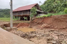 (Ảnh minh họa: Quốc Khánh/TTXVN)