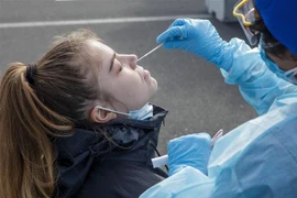 Nhân viên y tế lấy mẫu xét nghiệm COVID-19 tại Auckland, New Zealand. (Ảnh: AFP/TTXVN) 