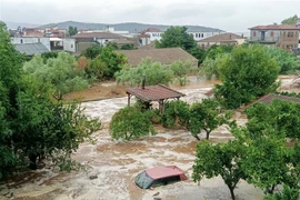 IMF hối thúc khu vực tư nhân đóng góp phần chính để đáp ứng các nhu cầu lớn về đầu tư khí hậu. (Nguồn: AFP/TTXVN)