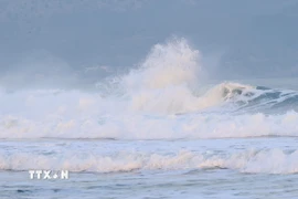 Ảnh minh họa. (Nguồn: TTXVN)