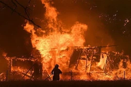 Lính cứu hỏa làm nhiệm vụ tại hiện trường vụ hỏa hoạn nhà kính trồng rau ở làng Nesterovo thuộc quận Ramensky, tỉnh Moskva, Nga ngày 7/1/2020. (Nguồn: FreeMalaysia Today/TTXVN) 