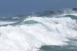 Sóng lớn xô vào bờ biển ở đảo Jeju, Hàn Quốc, do ảnh hưởng của bão Shanshan ngày 28/8/2024. (Ảnh: Yonhap/TTXVN)