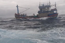 Tàu KN 463 đang lai dắt tàu cá BĐ 91388 TS vào khu vực Trường Sa để sửa chữa tàu. (Nguồn: TTXVN) 