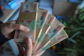 Ảnh minh họa. (Nguồn: Vietnam+) 
