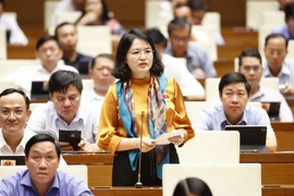 Đại biểu Quốc hội tỉnh Hải Dương Nguyễn Thị Mai Hoa đặt câu hỏi chất vấn. (Ảnh: Doãn Tấn/TTXVN) 