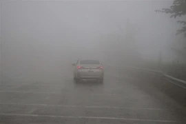 (Ảnh minh họa: Xuân Tiến/TTXVN) 