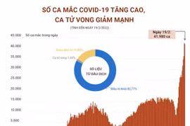 [Infographics] Số ca mắc COVID-19 tăng cao, số ca tử vong giảm mạnh