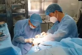 Quân y đảo Trường Sa Đông phẫu thuật cấp cứu cho ngư dân bị viêm ruột thừa cấp. (Ảnh: TTXVN phát)