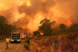 Khói lửa bốc lên từ đám cháy rừng tại Annunziata, Messina, Italy. (Ảnh: AFP/TTXVN)