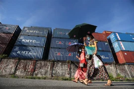 (Nguồn: THX/TTXVN) 