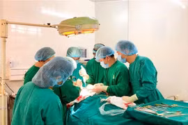 (Ảnh minh họa: Hưng Thịnh/TTXVN) 