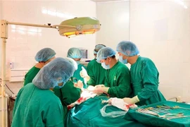 (Ảnh minh họa: Hưng Thịnh/TTXVN) 