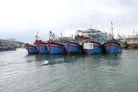 (Ảnh minh họa: Đặng Tuấn/TTXVN)