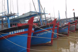 Các tỉnh, thành phố cần thông báo kịp thời cho thuyền trưởng, chủ các phương tiện, tàu thuyền. (Ảnh: Tường Quân/TTXVN)