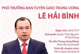 [Infographics] Phó Trưởng Ban Tuyên giáo Trung ương Lê Hải Bình