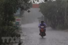 Ảnh minh họa. (Nguồn: TTXVN) 