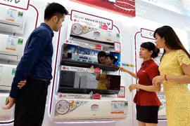 Khách tham khảo các loại máy làm mát tại siêu thị điện máy. (Ảnh: Đỗ Phương Anh/TTXVN) 