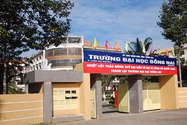 ​Tháng 4/2021, Ban Thường vụ Tỉnh ủy Đồng Nai đã công bố quyết định về việc thi hành kỷ luật bằng hình thức cách hết các chức vụ trong Đảng đối với ông Trần Minh Hùng, Phó Bí thư Đảng ủy (nhiệm kỳ 2015-2020), Hiệu trưởng Trường Đại học Đồng Nai. 