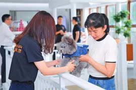 Thú cưng và người chủ đang chờ chuyến bay tại phòng chờ dành cho thú cưng ở sân bay ở Thâm Quyến. (Nguồn: Chinadaily)