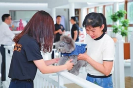 Thú cưng và người chủ đang chờ chuyến bay tại phòng chờ dành cho thú cưng ở sân bay ở Thâm Quyến. (Nguồn: Chinadaily)