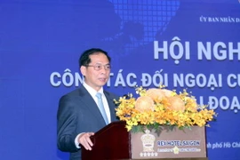 Ông Bùi Thanh Sơn, Phó Thủ tướng, Bộ trưởng Bộ Ngoại giao phát biểu chỉ đạo Hội nghị. (Ảnh: Xuân Khu/TTXVN)