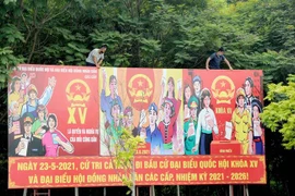 (Ảnh: Quang Quyết/TTXVN) 