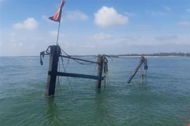 Ảnh minh họa. (Nguồn: TTXVN phát) 