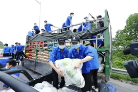 Đoàn viên thanh niên vận chuyển nông sản do Tỉnh đoàn Lào Cai gửi tặng Thành đoàn Hà Nội. Số hàng này được Thành đoàn, Hội Liên hiệp Thanh niên Việt Nam thành phố Hà Nội gửi tặng một phần đến một số quận, huyện đang có điểm nóng về COVID-19. (Ảnh: Minh Đứ