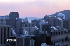 Ảnh minh họa. (Nguồn: TTXVN)