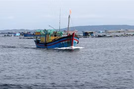 Tàu cá di chuyển vào bờ tránh bão. (Ảnh: Xuân Triệu/TTXVN) 