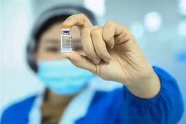 Vắcxin phòng COVID-19 do hãng Sinovac Biotech của Trung Quốc sản xuất. (Nguồn: THX/TTXVN) 