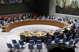 Một cuộc họp của Hội đồng Bảo an Liên hợp quốc. (Ảnh: AFP/TTXVN) 