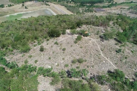 (Ảnh minh họa: Tường Quân/TTXVN) 