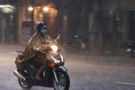 (Ảnh minh họa: Dương Giang/TTXVN) 