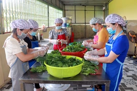 [Photo] Hậu phương trong cuộc chiến chống dịch COVID-19 ở Nam Định