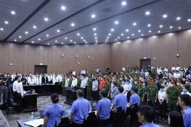Quang cảnh phiên tòa xét xử ngày 11/7. (Ảnh: Phạm Kiên/TTXVN)