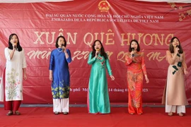 Tiết mục văn nghệ dân tộc do cán bộ các cơ quan đại diện Việt Nam tại Mexico biểu diễn. (Ảnh: Trương Phi Hùng/TTXVN)