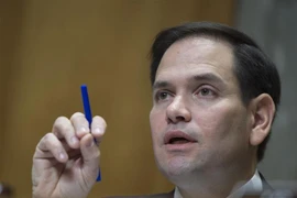 Thượng nghị sỹ Marco Rubio. (Nguồn: AFP/TTXVN) 