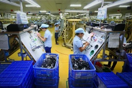 (Ảnh minh họa: Danh Lam/TTXVN) 