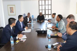 Đoàn công tác của Đại sứ quán Việt Nam ở Nam Phi làm việc với Phòng thương mại công nghiệp Durban. (Ảnh: Hoàng Minh/TTXVN) 