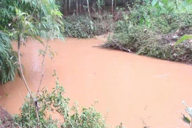 Hiện trường vụ việc. (Ảnh: TTXVN phát) 