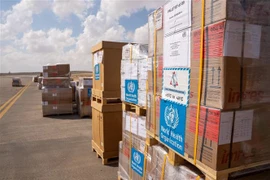 Hàng viện trợ cho Dải Gaza tới sân bay thành phố Arish trên Bán đảo Sinai, Ai Cập, ngày 15/10/2023. (Ảnh: AFP/TTXVN)