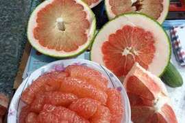 Bưởi da xanh ở xã Phước Bình (huyện Bác Ái) đáp ứng yêu cầu thị trường Hoa Kỳ. (Ảnh: TTXVN phát)
