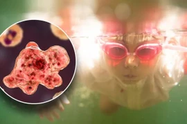 ​Trong năm 2023, tại Mỹ đã có ít nhất 3 trường hợp tử vong do nhiễm khuẩn naegleria fowleri. (Nguồn: iStock)