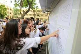 Ảnh minh họa. (Nguồn: Vietnam+) 