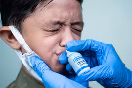 Australia phát triển một loại vaccine dạng nhỏ mũi có thể giúp cơ thể tăng cường khả năng bảo vệ trước virus gây bệnh COVID-19. (Nguồn: Drugtargetreview) 